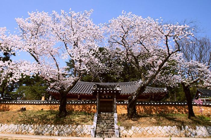Wolamjae Villa Gyeongju Eksteriør bilde